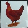 Ceramic Tile Chickens Hen