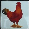 Ceramic Tile Chickens Rooster