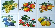 Ceramic Tile Mural Pretty Fruit