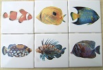 Ceramic Tile Mural 6 Tropical Fish