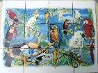 Ceramic Tile Mural Tropical Birds Parrots
