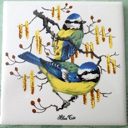 Ceramic Tile domestic bird  blue tits