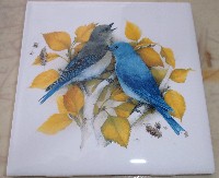 Ceramic Tile domestic bird 2 blue birds