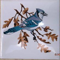 Ceramic Tile domestic bird  blue Jay #2