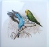 Ceramic Tile Tropical Birds parrots