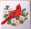 Ceramic Tile domestic bird cardinal