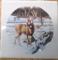 Ceramic Tile Buck  White tail Deer