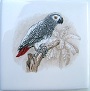 Ceramic Tile Tropical bird African Grey