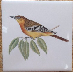 Ceramic Tile domestic bird Oriole