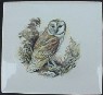 Ceramic Tile Owl