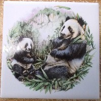 Ceramic Tile Giant Panda Bear