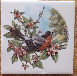 Ceramic Tile domestic bird Robin