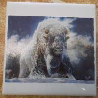Ceramic Tile White Buffalo