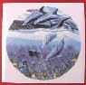 Ceramic Tile Dolphins
