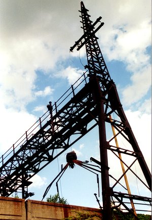 facing up at giant dangling spider