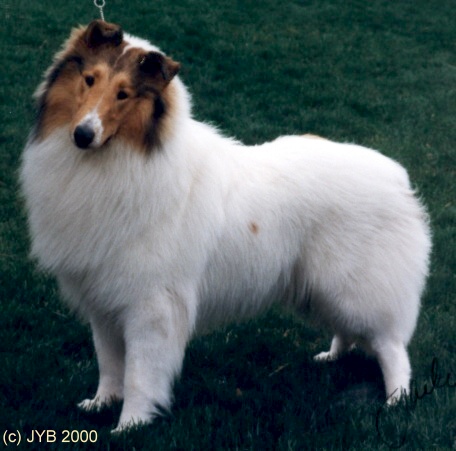 Everest at 10 Months all spiffed up March 2000