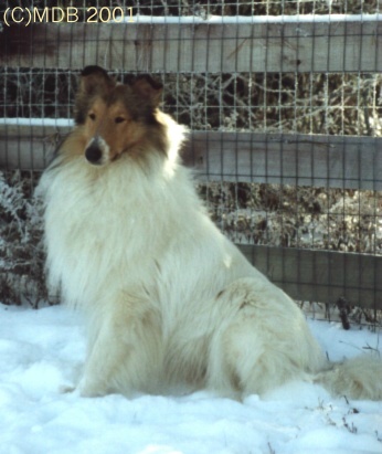 Everest at 20 Months