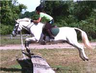 horse jumping