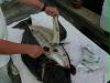Halibut Filleting 101 by Kepdawg