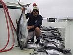 Wills Bluefin Tuna Caught on the Pacific Queen