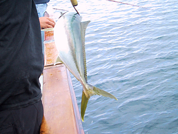 Tracer Fishing June 6, 2004