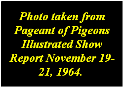 Text Box: Photo taken from Pageant of Pigeons Illustrated Show Report November 19- 21, 1964.  
