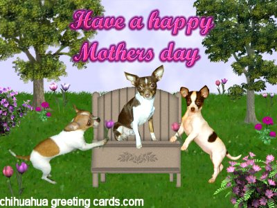  Mothers Day Java card 1