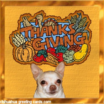 Thanksgiving Java card 2