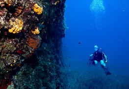 Amorgos Diving Center