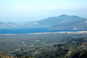 Lesbos Hotels Hotel, Olive Grove