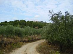 Kontopoula, Crete, Kreta.