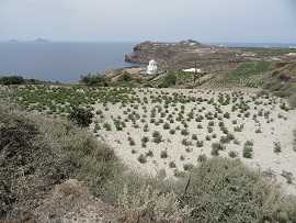 Ammoudi in Santorini