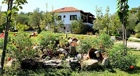 Dionysus Apartments in Ierissos, Halkidiki
