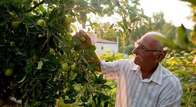 Haus Risos, Toroni, Halkidiki