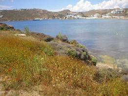 The surroundings of Agia Anna Beach