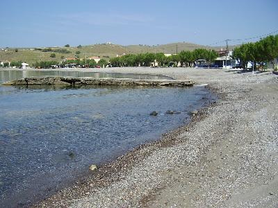 Tavari Lesbos