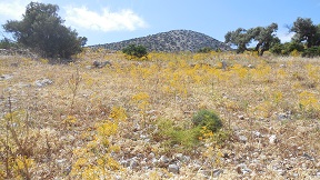 Naxos