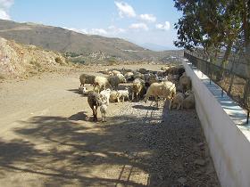 Argoules, Crete, Kreta