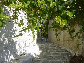 Aspro, Sophia's House, Villa in Crete, Almirida, Almyrida, Kreta