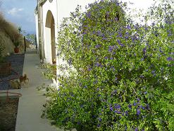 Kastania Lodge, Kastelli Kissamos, Kreta