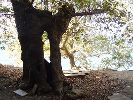 Nopigia, Crete.