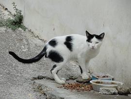 Papagiannades, Crete, Kreta