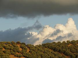 Ariana's Place, Kastelli Kissamos, Kreta, Crete