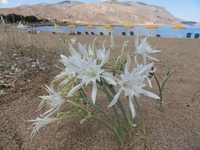 Kaliviani Beach, Crete, Kreta