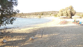 Lemon Tree Villas, Crete, Kreta