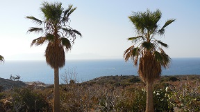 Lemon Tree Villas, Crete, Kreta