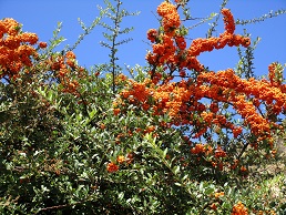 Kato Kria, Lassithi, Kreta, Crete.