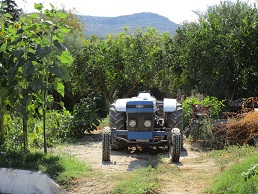 Kotsiana, Kreta, Crete.