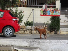 Apollon studios in Tsoutsouros, Crete.