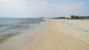 Plaka beach Naxos